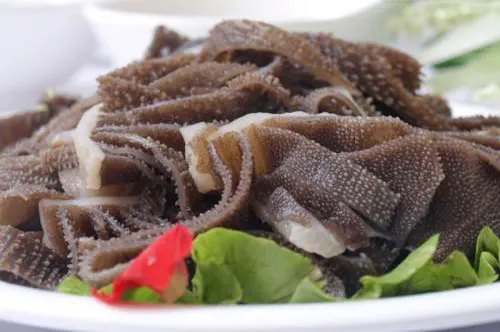 牛センマイ
